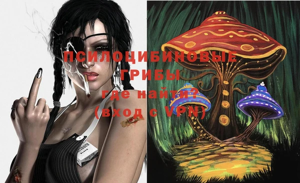 jwh Алзамай