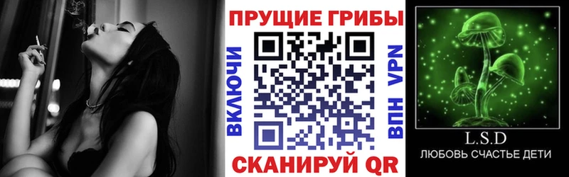 где купить наркоту  Алупка  Псилоцибиновые грибы Psilocybine cubensis 
